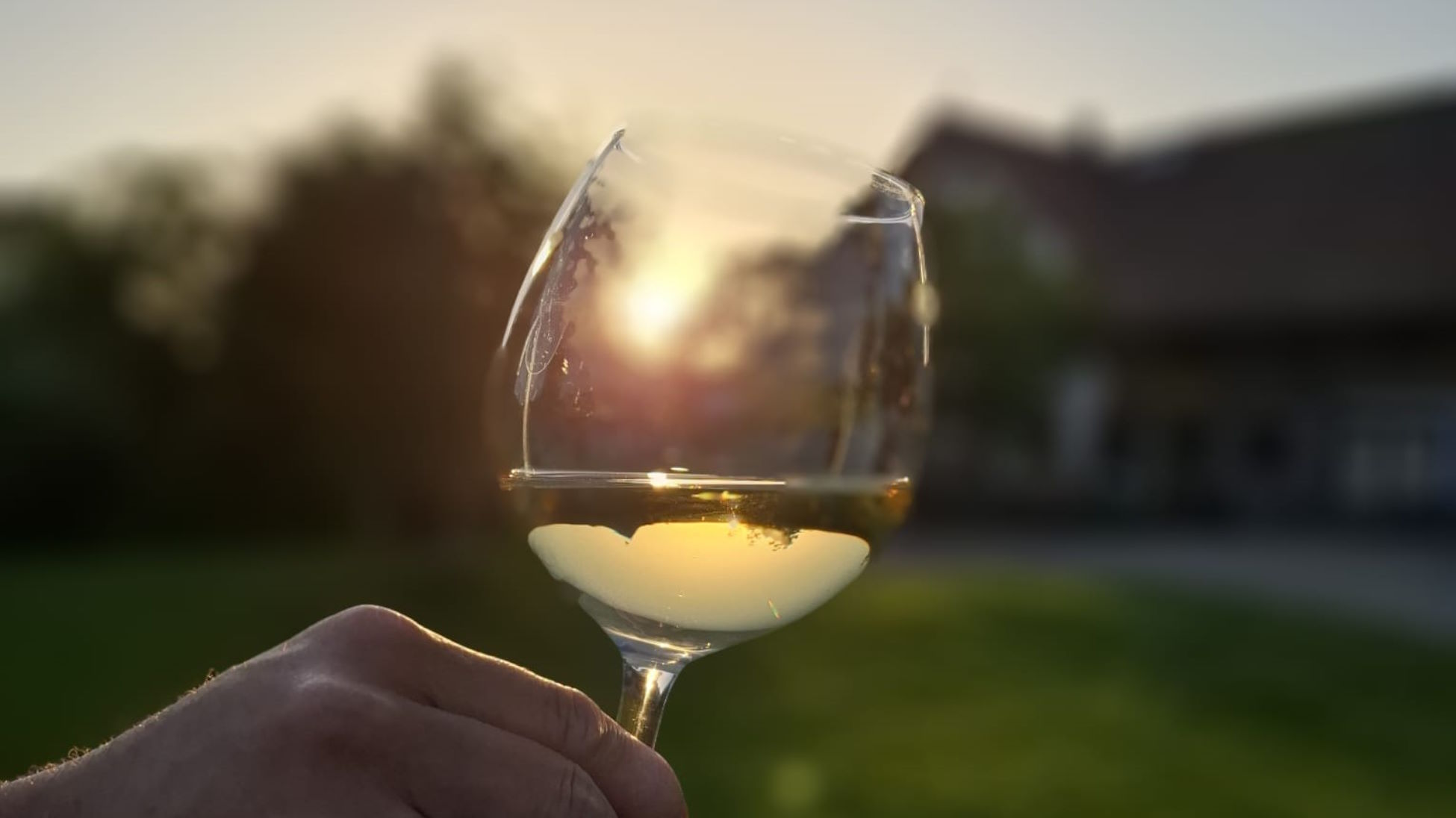 Headerbild der Seite